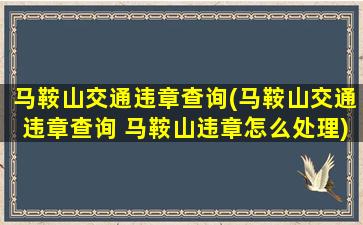 马鞍山交通违章查询(马鞍山交通违章查询 马鞍山违章怎么处理)